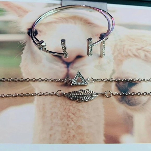 NEW Set of 4 Bracelets - Picture 3 of 4